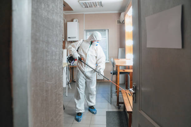 Best Mold Remediation for Healthcare Facilities  in Ocean Pointe, HI