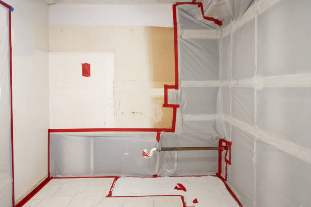 Mold Remediation for Rental Properties in Ocean Pointe, HI