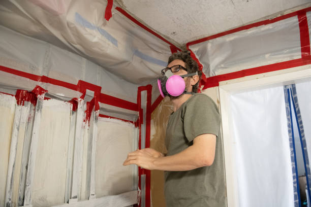 Best Residential Mold Inspection & Testing  in Ocean Pointe, HI