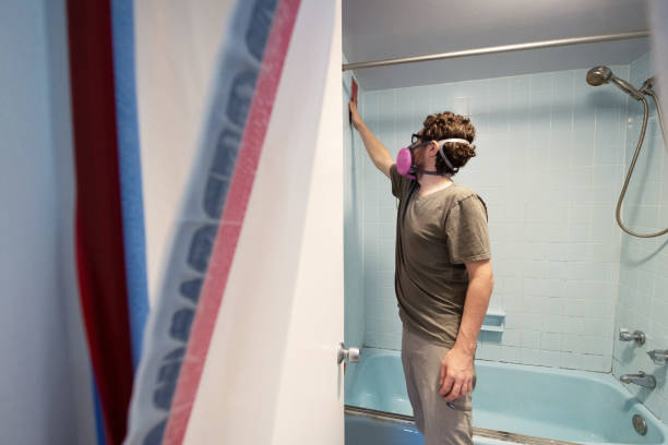 Best Attic Mold Removal  in Ocean Pointe, HI