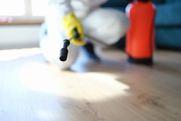 Environmental Consulting for Mold Prevention in Ocean Pointe, HI