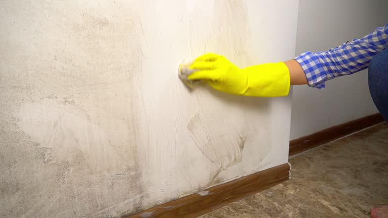 Best Real Estate Mold Inspection  in Ocean Pointe, HI
