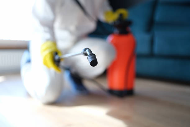 Best Mold Documentation for Insurance Claims  in Ocean Pointe, HI
