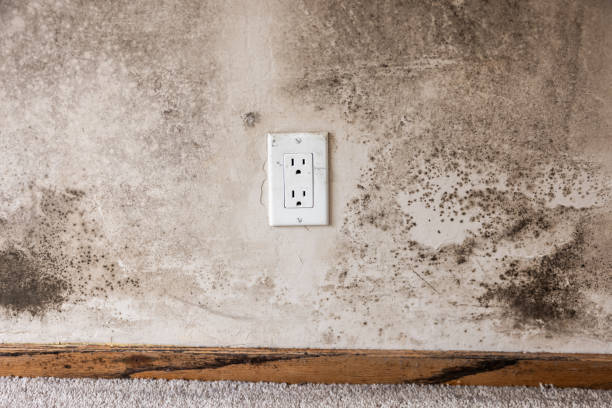 Best Indoor Air Quality Assessment  in Ocean Pointe, HI